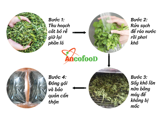 cỏ ngọt nguyên chất từ thiên nhiên