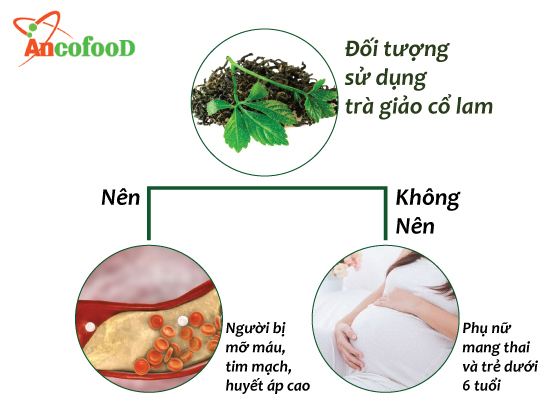 Cách dùng giảo cổ lam pha trà đúng cách và những điều nên lưu ý 