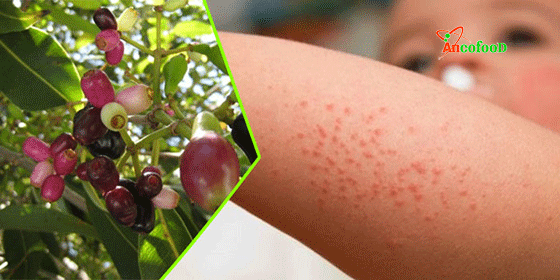 công dụng của nụ vối