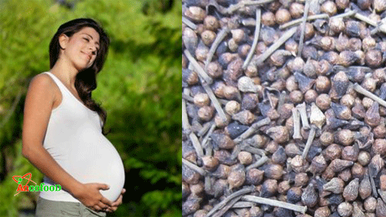 công dụng của nụ vối