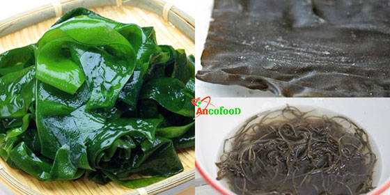 Phổ tai Hàn Quốc nguyên chất