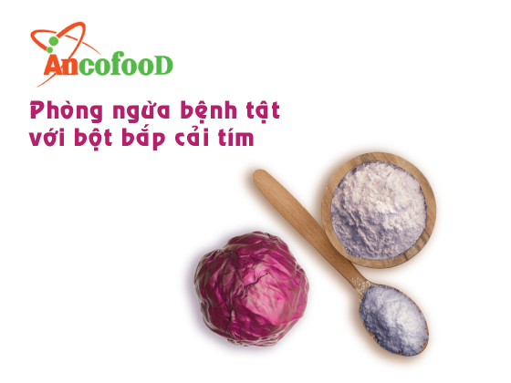 7 công dụng của bột bắp cải tím giúp phòng ngừa bệnh 