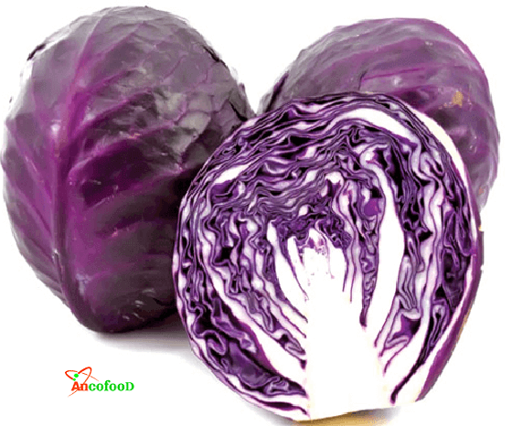bột bắp cải tím