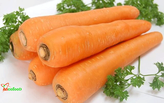 bột cà rốt