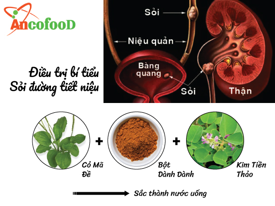 6 công dụng của bột dành dành trong y học và một số bài thuốc quý trị bệnh 
