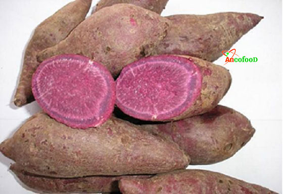 bột khoai lang tím