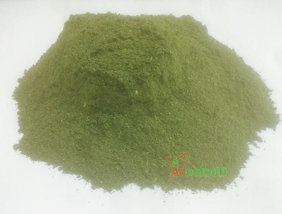 bột lá cẩm