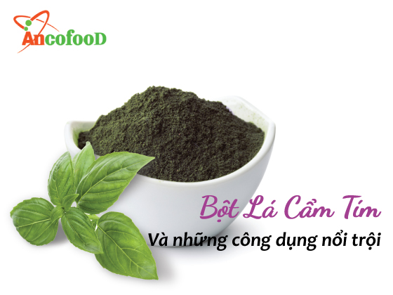 Bột lá cẩm tím nguyên chất và những công dụng nổi bật 
