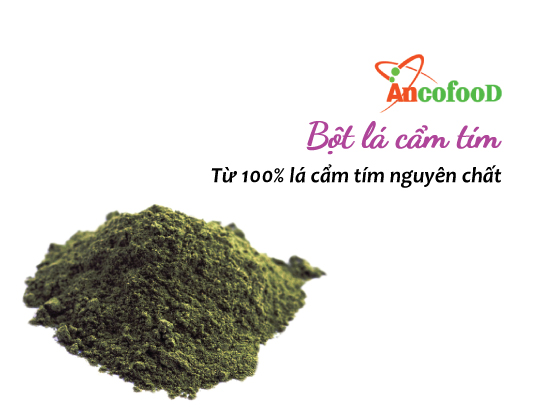 Bột lá cẩm tím nguyên chất và những công dụng nổi bật 