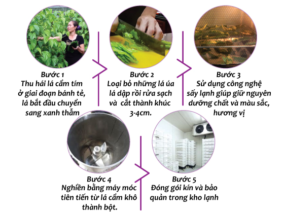 Bột lá cẩm tím nguyên chất và những công dụng nổi bật 