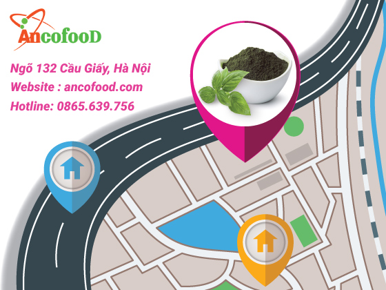 Địa chỉ mua bột lá cẩm tím nguyên chất giá rẻ? 