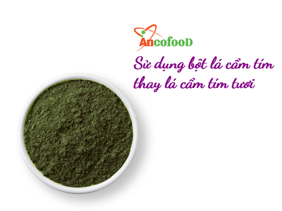 Tại sao nên sử dụng bột lá cẩm tím thay thế lá cẩm tím tươi?