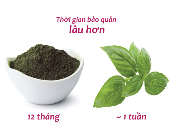 Tại sao nên sử dụng bột lá cẩm tím thay thế lá cẩm tím tươi?