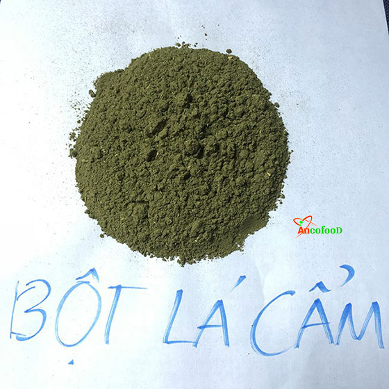 lá cẩm tím