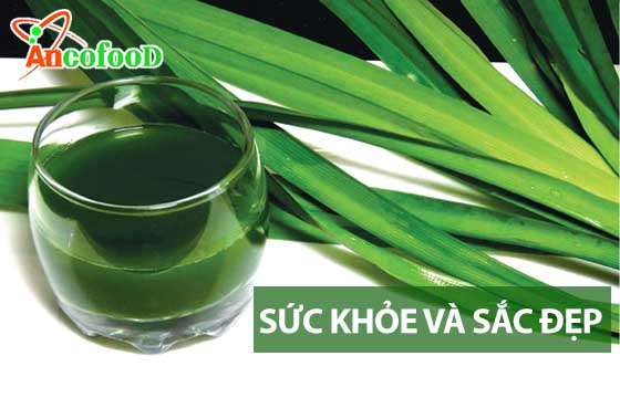 công dụng bột lá nếp trong y học
