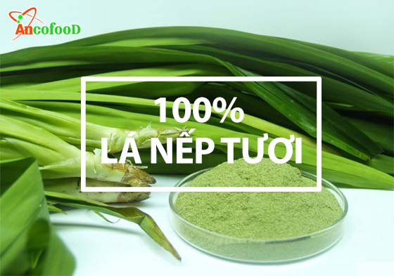 sản xuất bột lá nếp