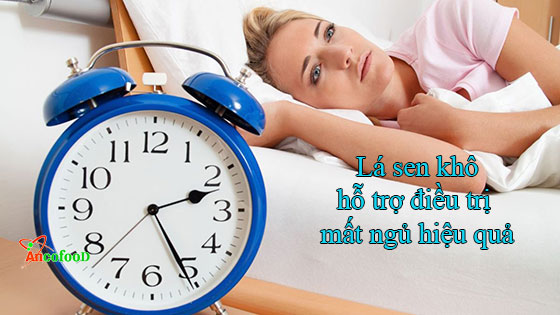 những lợi ích từ lá sen khô mang lại tốt cho sức khỏe mà bạn biết