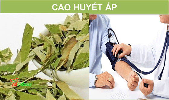 cong dung cua la sen