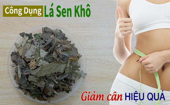 cong dung cua la sen