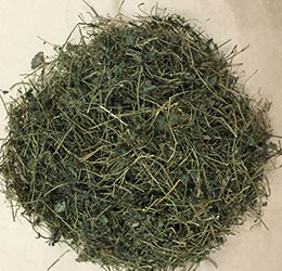 Địa chỉ cung cấp giảo cổ lam chất lượng tốt?