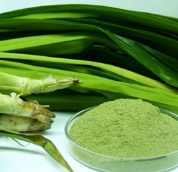Địa chỉ bán bột lá nếp lá dứa tại Hà Nội, TPHCM
